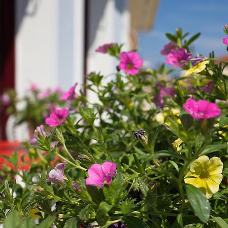 Casa Di Fiori Apartment Lefkada City Exterior photo